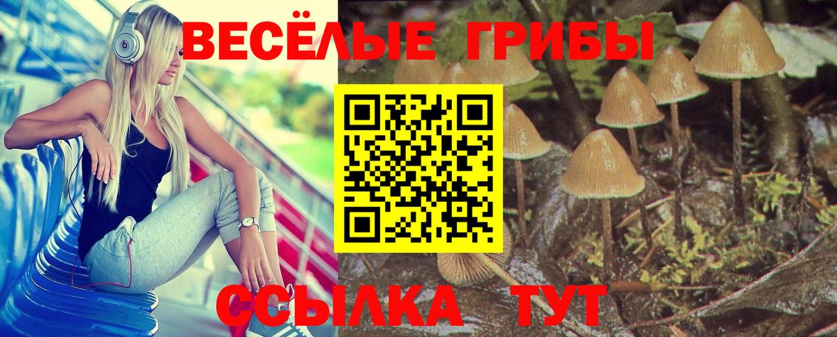 Назрань  Галлюциногенные грибы Psilocybe  Галлюциногенные грибы Psilocybe  наркошоп  Вход с VPN 