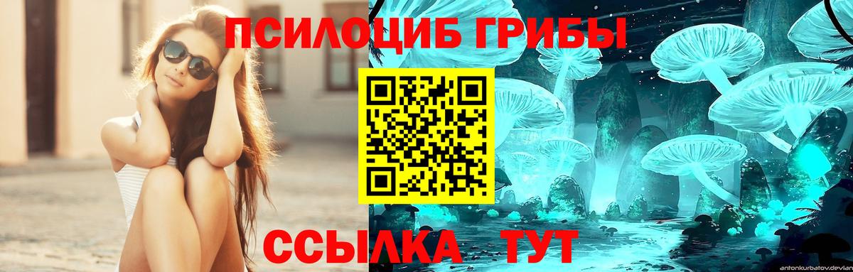 Галлюциногенные грибы Magic Shrooms Назрань