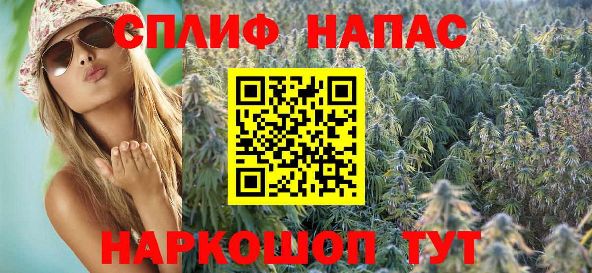 Каннабис MAZAR  Бошки Шишки планчик  Вход с VPN  Назрань 