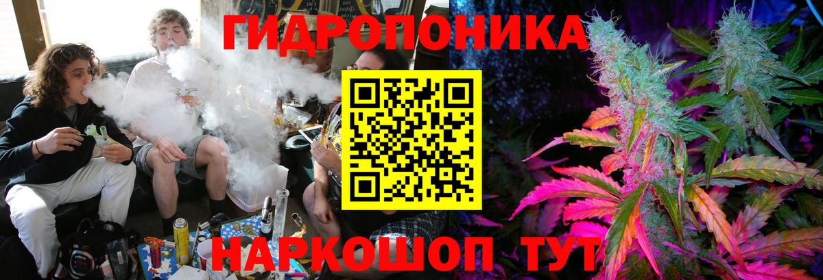 Бошки Шишки THC 21% Назрань